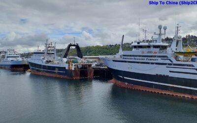 华裔精英张文远先生的归途:从曼哈顿到上海的深情迁徙之旅