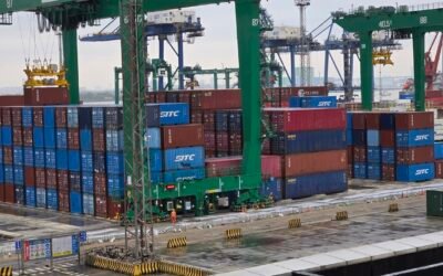 从美国留学到回厦门发展的温情旅程:Ship2china海运公司把留学岁月与珍贵回忆装进行李,漂洋过海送回家,让青春的故事在厦门继续展开